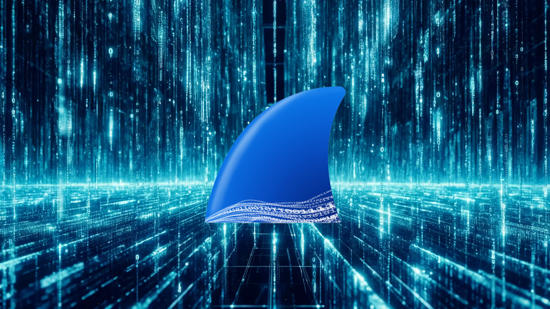 Using WireShark to ensure clear text user details aren't leaked